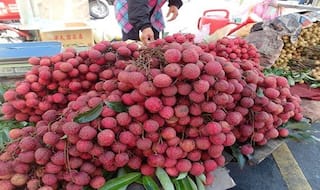 Odisha: Litchi Goes Out of Market in Wake of Encephalitis Epidemic in Bihar