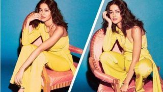 Student of The Year 2 Actor Ananya Panday Refuses to 'Sit Like a Lady' in Latest Instagram Picture