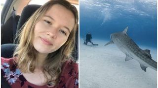 Sharks Attack Female Tourist in The Bahamas, Succumbs After Losing Right Arm And Injuries on Legs-Buttocks