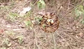 After 108 Encephalitis Deaths, Skeletons Found Behind SKMCH Hospital in Muzaffarpur