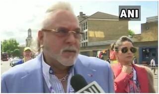 Why London High Court Thinks Vijay Mallya Should be Given More Time