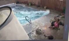 Viral Video: Woman Tries to Save Her Mobile Phone During Massive 7.1 Earthquake in Southern California
