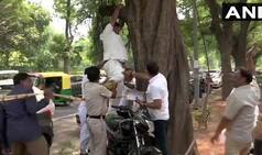 'Rahul Should Take Back His Resignation Else ...', Congress Worker Attempts Suicide
