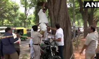 'Rahul Should Take Back His Resignation Else ...', Congress Worker Attempts Suicide