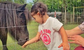 Soha Rewrites 'Black Beauty' as She Narrates Inaaya's Love Story in London With THIS Horse