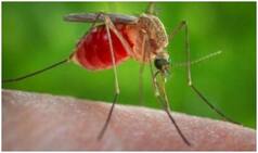 Assam: Japanese Encephalitis Takes 49 Lives; Leaves of Doctors, Paramedic Kept on Hold Till Sept 30