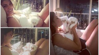 Jacqueline Fernandez Can't Help But Feel Mushy as She Calls it a Night With Her 'Cuddle Monsters'