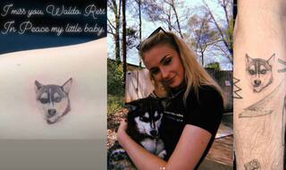 Sophie Turner And Joe Jonas Get Late Dog Waldo Picasso's Picture Inked on Their Arms