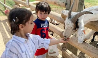 What is Taimur Ali Khan Trying to Tell Bestie Kainaat Singha in This Cute Viral Picture?