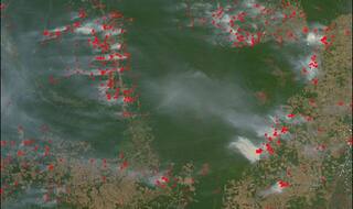 H&M Stops Buying Brazilian Leather Over Amazon Fires