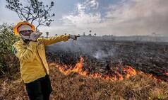 Brazil Bans Use of Fire to Clear Land For 60 Days Amid Crisis