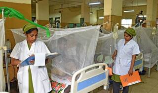 At Least 12,000 Dengue Patients Hospitalised Across Bangladesh