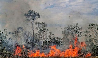 US Disagrees With Aid Offer of G7 Countries to Tackle Amazon Fires