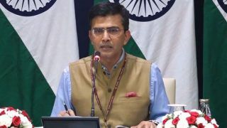 Pakistan Nervous About Steps India Took in Jammu And Kashmir: MEA