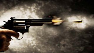 Bizarre! Delhi Man Shoots Himself in Ear, Bullet Comes Out Through His Head And Hits Pregnant Wife