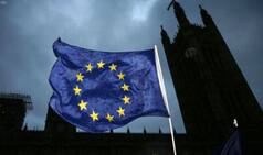 Abrogation of Article 370 Will Help Curb Terrorism, Says MEP
