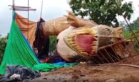 india.com top news