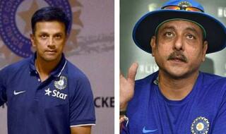 'Shudh Ghee vs Dalda': Fans Blast BCCI For Mentioning Dravid, Shastri in Same Breath in Latest Tweet | PIC