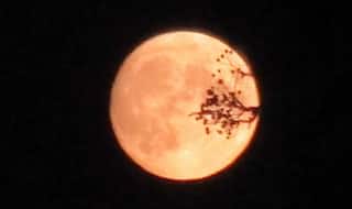 Harvest Moon 2019: 19 साल बाद आज खास होगा चंद्रमा, फिर 30 साल बाद दिखेगा ऐसा नजारा...