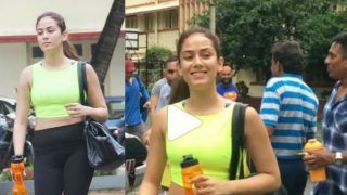 आम के पेड़ पर लटकी दिखीं शाहिद कपूर की पत्नी Mira Rajput, गार्डन को ही बना लिया जिम- देखें Video
