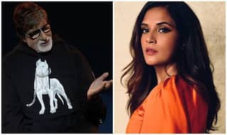 Richa Chadha's 'Save Aarey Forest' GIF Trends After Amitabh's Subtle Support to Mumbai Metro