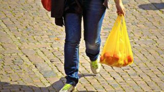 Delhi: Trader 'Violates' Plastic Rule, Fined Rs 2 Lakh