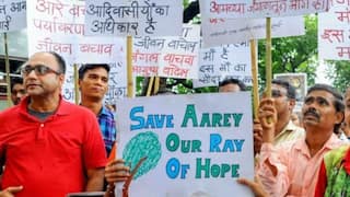 Big Setback For    Save Aarey    Campaign As Bombay HC Refuses to Stop Cutting of 2,500 Trees
