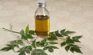 Fascinating Beauty Benefits of Neem Essential Oil