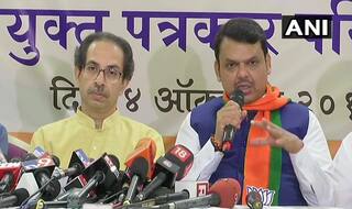 Want To See Aditya Thackeray in Assembly Soon,    Says Fadnavis Ahead of Maharashtra Polls