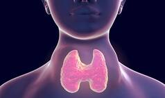Hypothyroidism: Effective Home Remedies to Treat The Condition