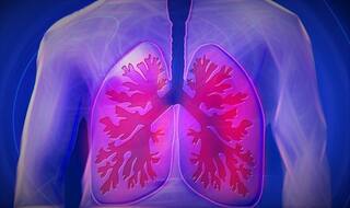 Obesity Can Lead to Fat Accumulation in Lungs, Opt For These Natural Ways to Keep The Organ Clean And Healthy