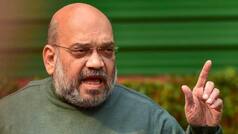 New BJP President Will Be Appointed By December, Announces Amit Shah