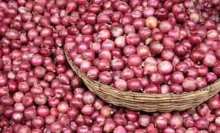 Govt's Efforts Bear Fruit As Wholesale Onion Prices Fall Below Rs 30/kg At Lasalgoan
