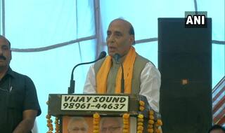 Congress Leaders Strengthen Pakistan by Criticising 'Shastra Puja': Rajnath Singh