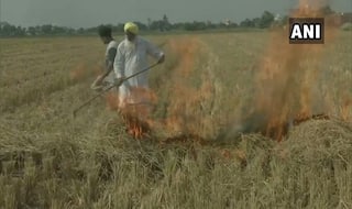 Punjab: Farmers of Bhamme Khurd Village Broadcast Stubble Burning on Social Media Despite Ban
