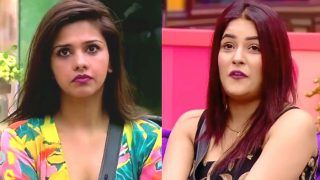 Bigg Boss 13: Dalljiet Kaur Makes Shocking Statements, Says 'Shehnaz Gill Has a Boyfriend And Yet She's Faking Love With Paras Chhabra'