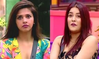 Bigg Boss 13: Dalljiet Kaur Says 'Shehnaz Gill Faking Love With Paras Chhabra, Has a Boyfriend'
