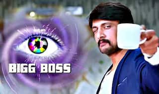 Bigg Boss Kannada Contestants' List: Meet The 13 Participants of Kichcha Sudeep-Hosted Show