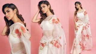 Mouni Roy's Sheer White Saree Look in Latest Instagram Pictures is a Hit - Check Viral Photos