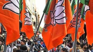 UP Bypoll Results 2019: BJP Bags 7 Seats, Samajwadi Party Wins 3