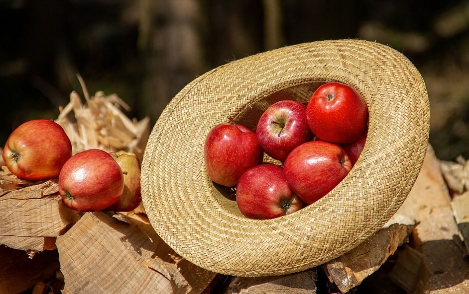 Health Benefits of Apple You Need to Know