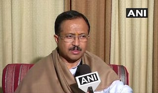 'Those Visiting Sabarimala Now Are Urban Naxals And Anarchists': BJP Kerala President