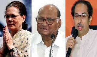 BMC Elections: Congress To Go Solo, Will Declare Candidates On All 236 Seats