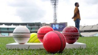 Indvban day night test seeing the pink ball is easier than the red ball sourav ganguly
