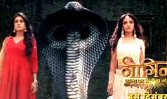 Naagin 4 New Promo: Nia Sharma, Jasmine Bhasin on a Mission to Kill Udaan Fame Vijayendra Kumeria