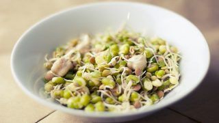 Scientifically-Proven Benefits of Sprouting You Must Know