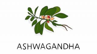 Want to Bid Adieu to Stress And Anxiety? Use Ashwagandha