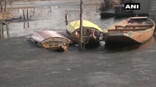 Believe it or Not! Half of Dal Lake Frozen as Srinagar Shivers at -6.2 Degrees | Watch Photos