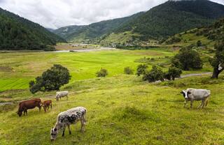 Unlock in Arunachal Pradesh to Begin From Monday, Curbs to be Lifted Outside Containment Zones