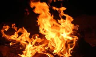 Fire Breaks Out in Footwear Factory in Delhi's Narela; Firefighting Operation Underway